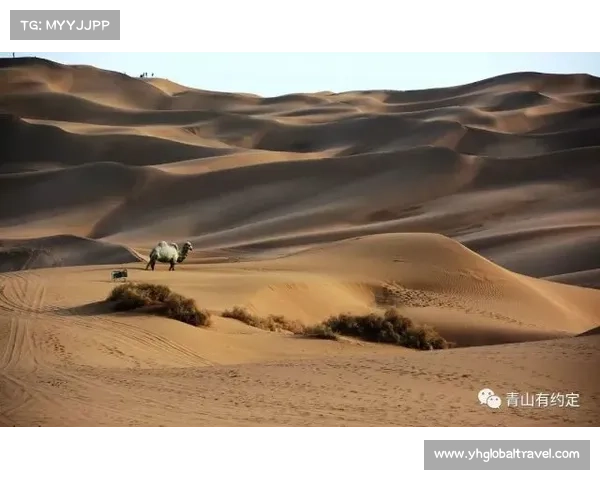 蜃楼攻略:沙漠旅途中的幻影之美 蜃楼攻略:沙漠旅途中的幻影之美