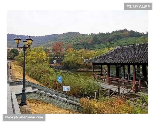西山纵横,群英逐鹿 西山纵横,群英逐鹿