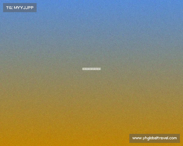 电子竞技传播平台全景概览 电子竞技传播平台全景概览