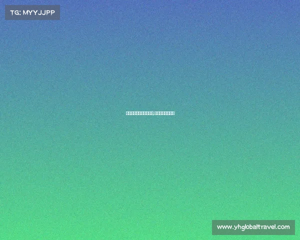 电子竞技学院报名表格式,电子竞技报名要求