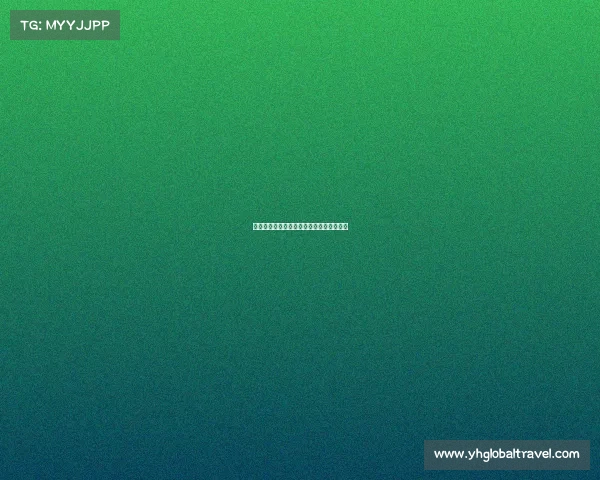 电竞学校门槛真那么高?你的电竞梦够格吗 电竞学校门槛真那么高?你的电竞梦够格吗