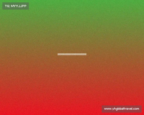 辽域电竞再启新篇：数字浪潮下的产业变革与青春赛道